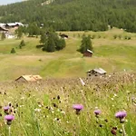Lägenhet Zenith - Casa Azzurra Mansarda *